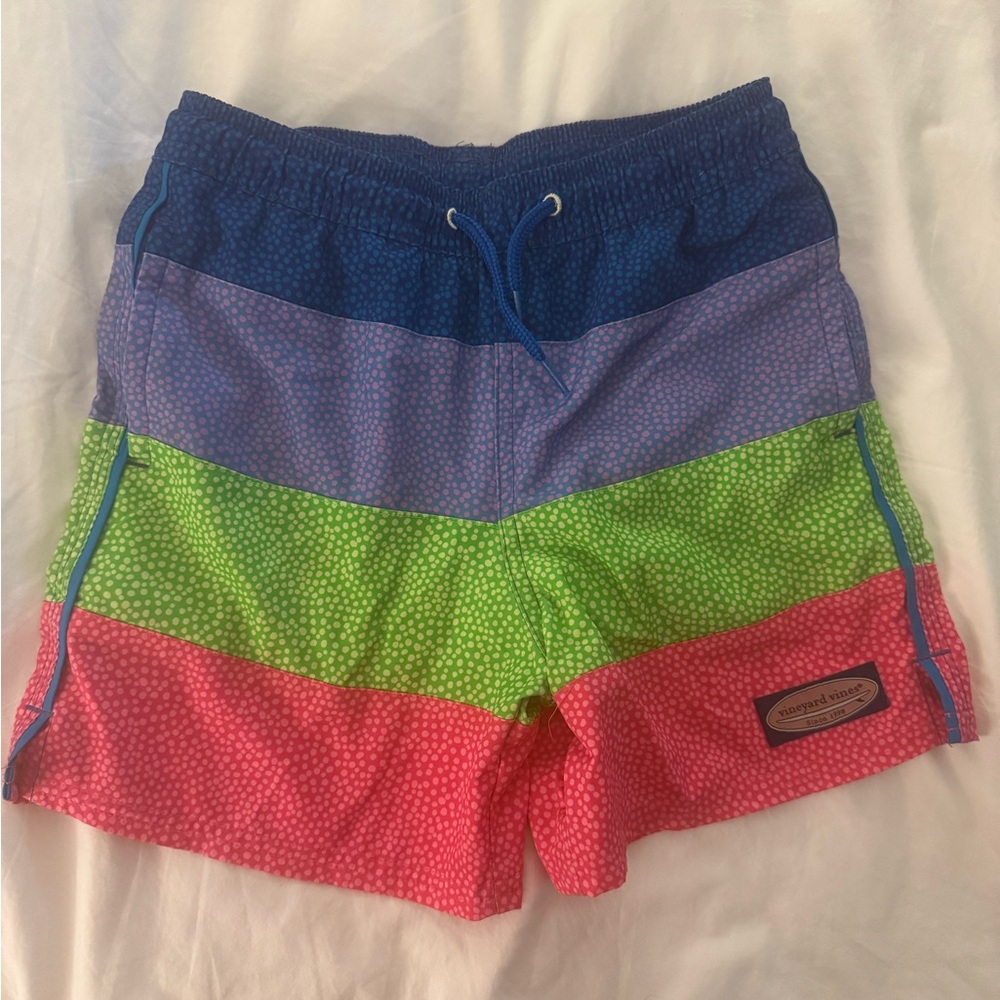 Vineyard Vines Blue Green and Pink Swim Trunks